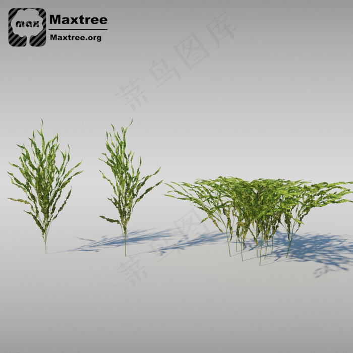 草模型图片