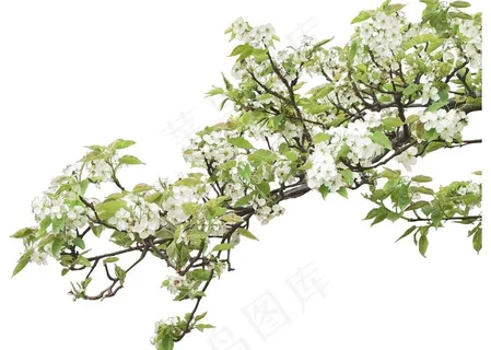 景观设计图片 景观设计图片