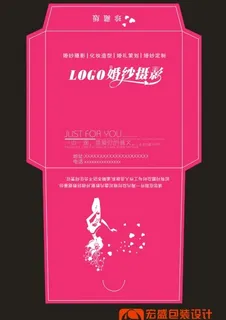 玫红典雅光盘封套十五