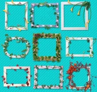 精美鲜花相框图片