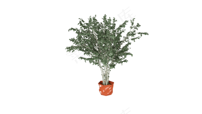 C4D通用室内盆栽模型