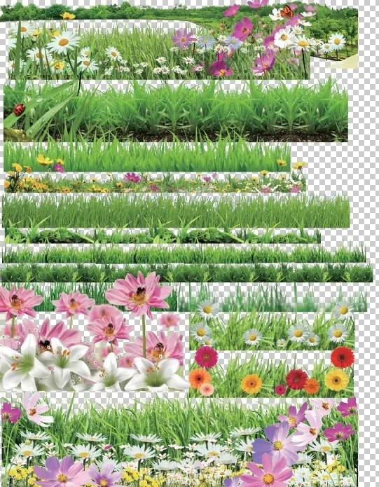 花草素材(4394X5669(DPI:72))psd模版下载