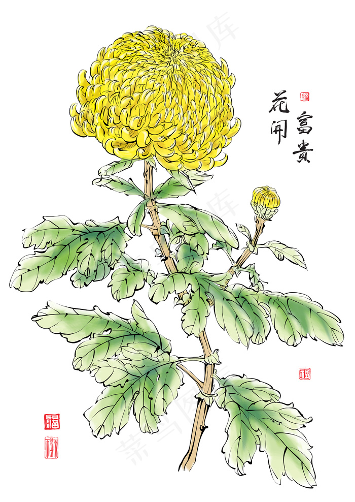 中国菊花平移矢量水墨画：繁荣的花eps,ai矢量模版下载
