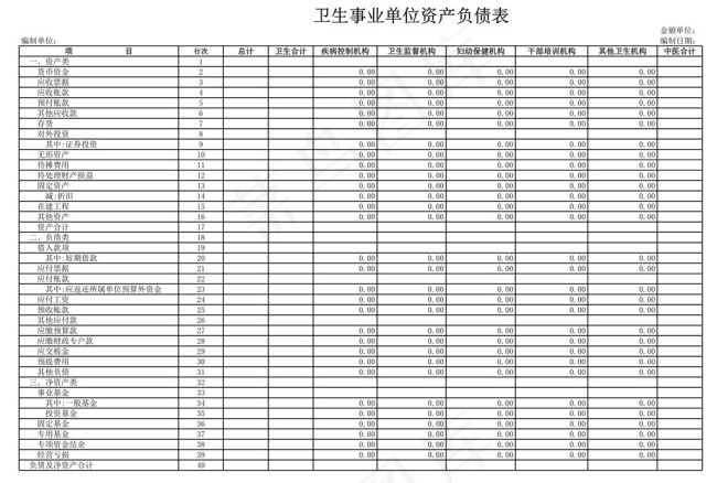 卫生事业单位资产负债表