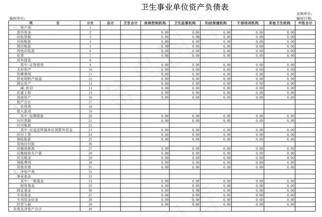 卫生事业单位资产负债表
