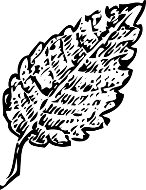 概述叶剪贴画