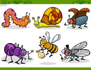 卡通昆虫集12-矢量素材