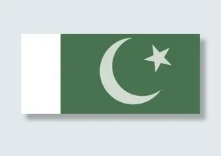 巴基斯坦的官方旗帜剪贴画