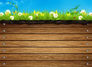 木纹背景与花草