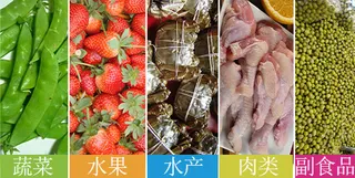 食品分类导览图