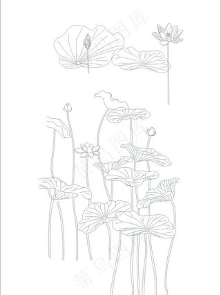 手绘荷花图片