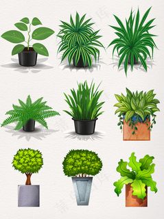 卡通绿植盆栽
