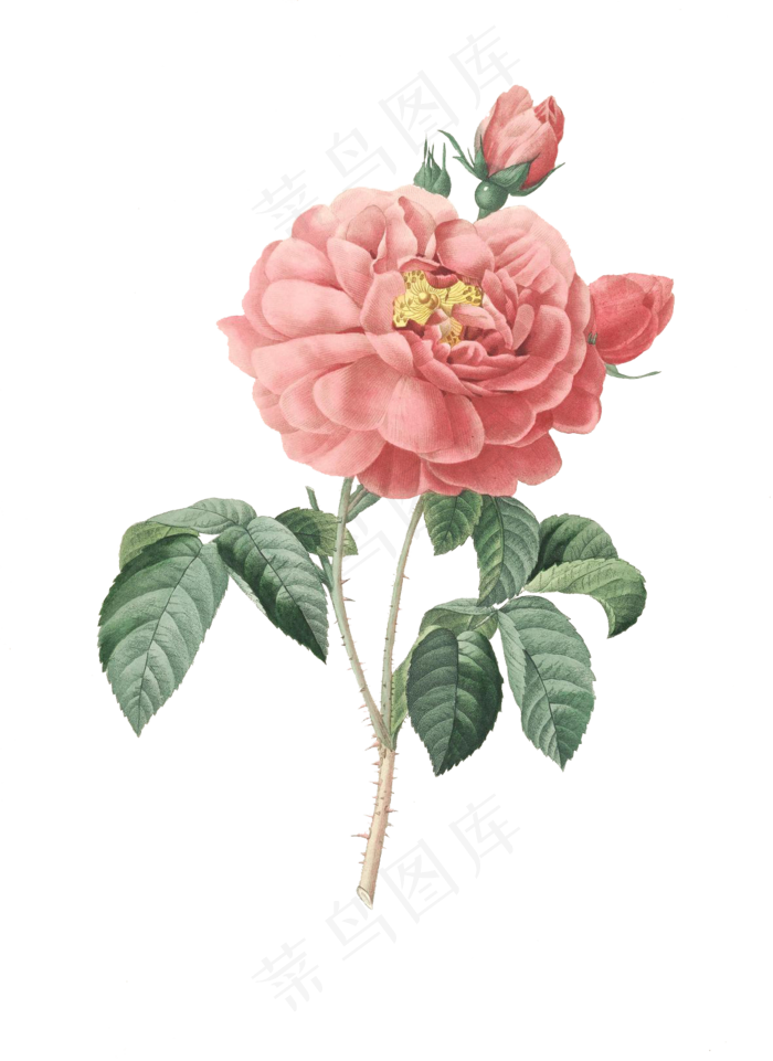免扣花