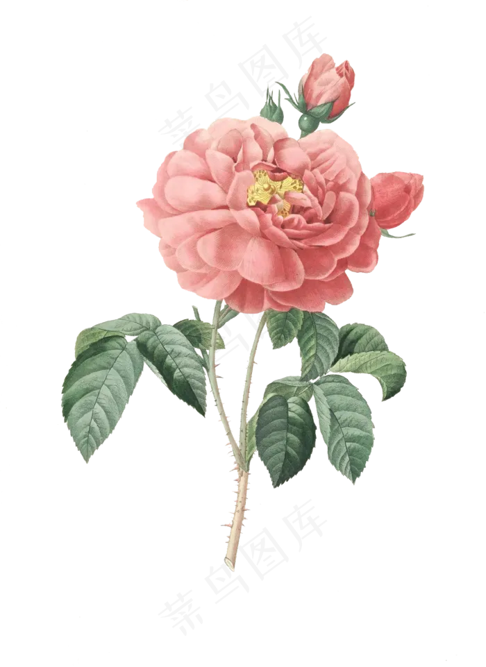 免扣花