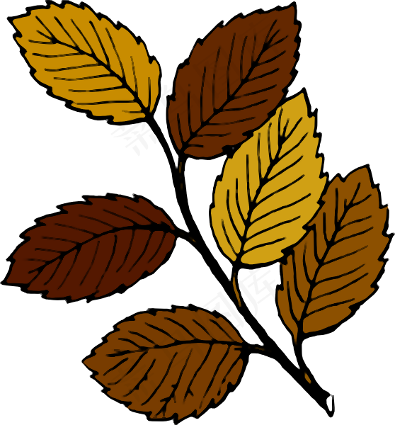 秋天的树叶树枝剪贴画