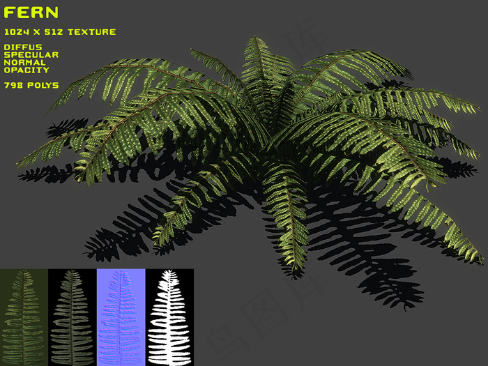 Free Fern Pack 羊齿...