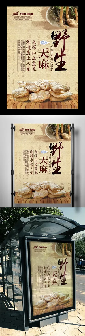 怀旧复古风中医药材海报设计