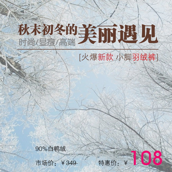 冬天素材海报模板