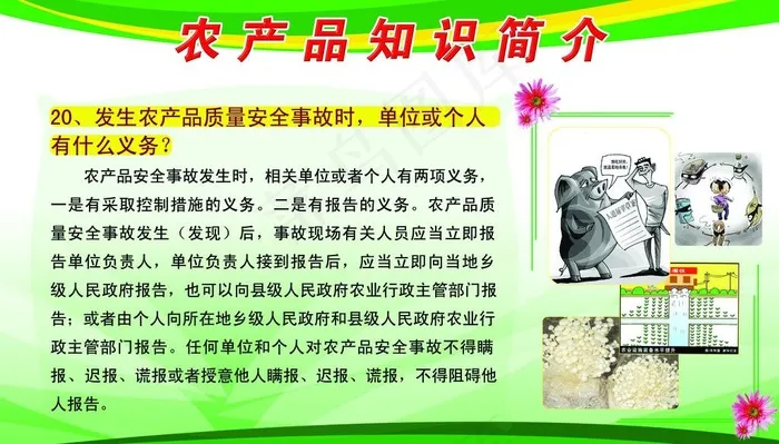农产品知识简介图片psd模版下载