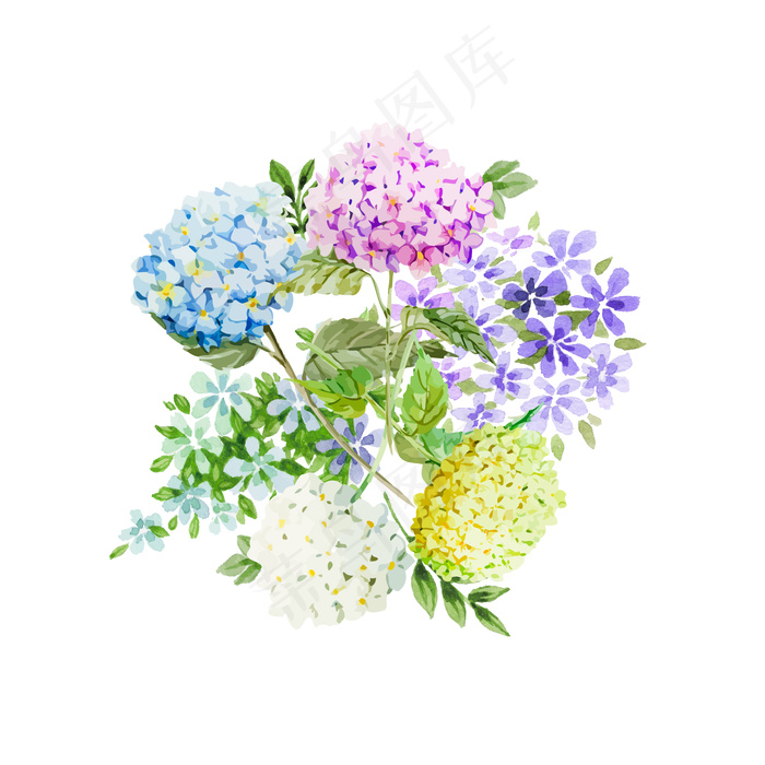 手绘植物花卉