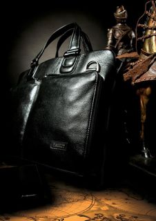 巴天弩皮具图片