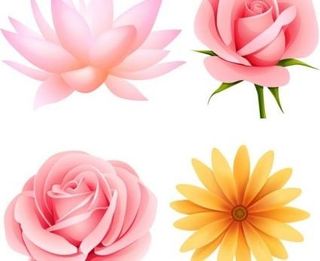 美丽的小花朵矢量4