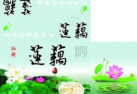 仙荷莲藕图片 仙荷莲藕图片