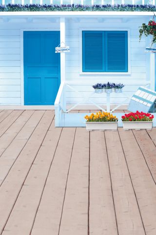 在房子前面的花盆影楼摄影背景图片