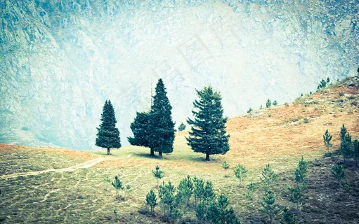 唯美油画感风景树林高清图片壁纸 唯美油画感风景树林高清图片壁纸