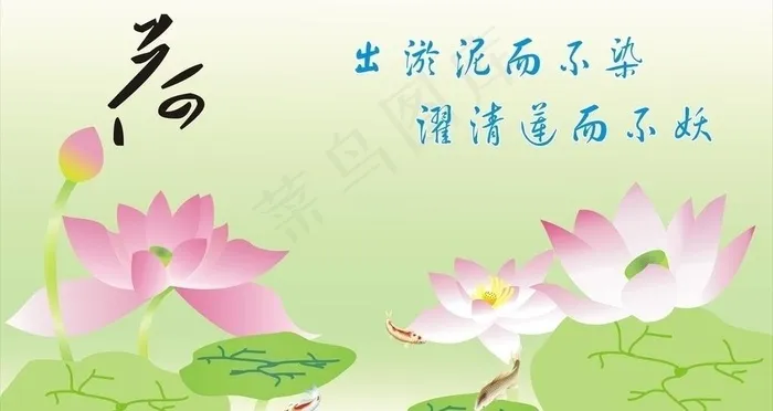 荷 背景图片cdr矢量模版下载