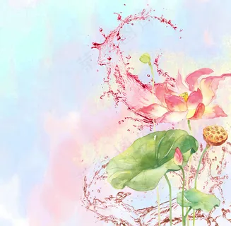 荷花海报 荷花海报