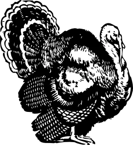 土耳其剪贴画