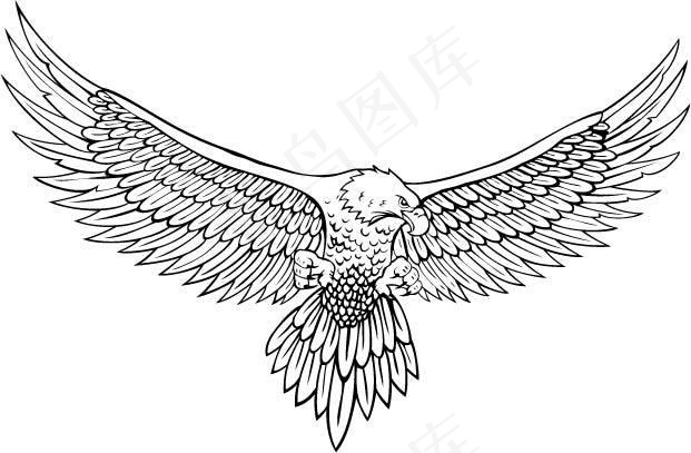 一款展翅欲飞的雄鹰白描矢量素材
