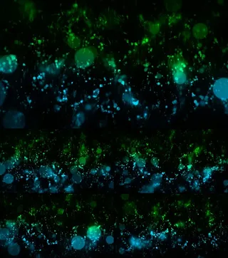 (mov)超炫动态粒子高清动态背景...