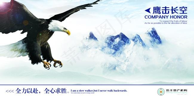 鹰击长空 企业文化展板psd模版下载