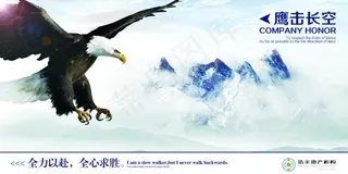 鹰击长空 企业文化展板