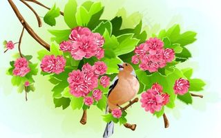 鲜花背景矢量素材二