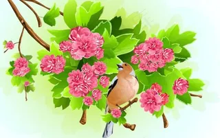 鲜花背景矢量素材二