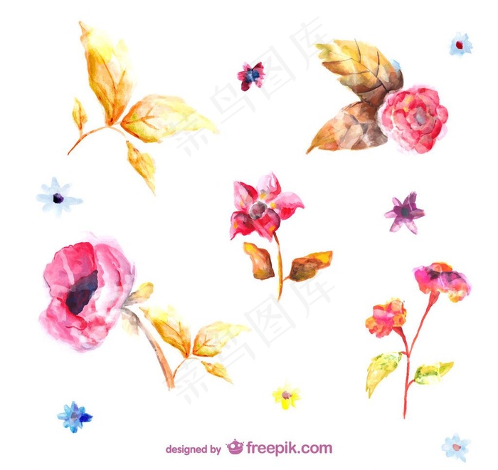 水彩花朵图片