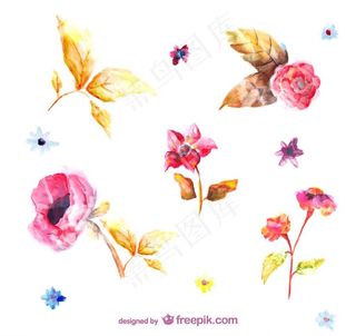水彩花朵图片