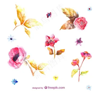 水彩花朵图片