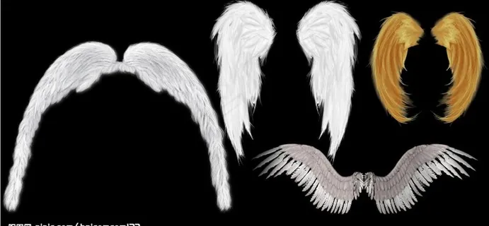 超赞的天使翅膀大全图片