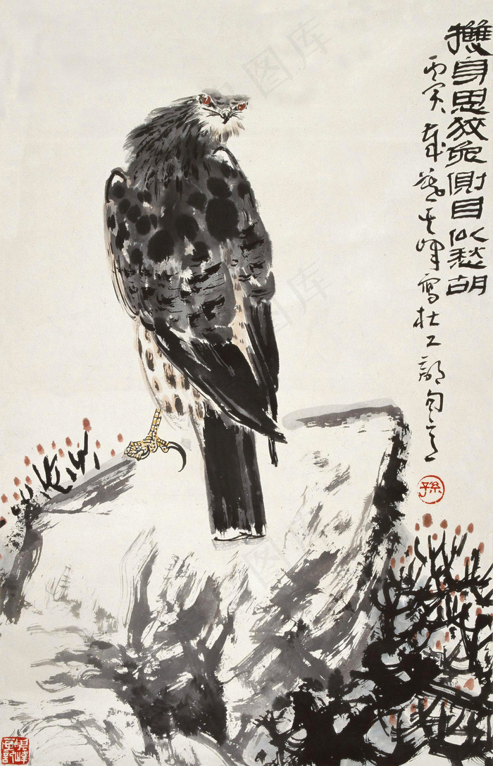 老鹰图片