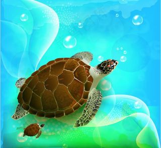 夏日海滩矢量素材图片