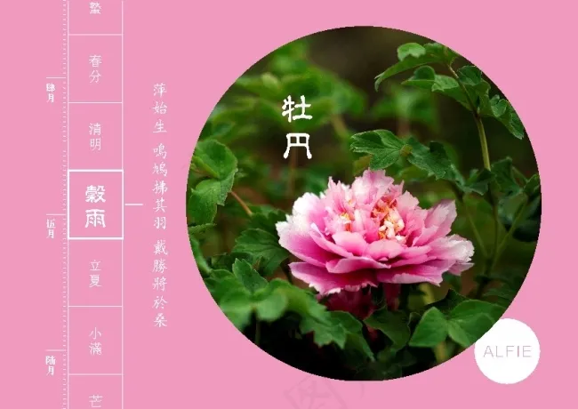 二十四节气-谷雨cdr矢量模版下载
