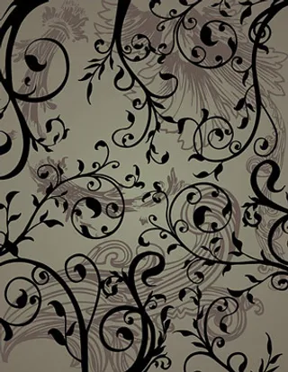 黑白时尚花纹背景矢量本草