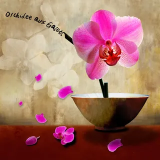 花朵花瓣装饰画