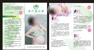 预产期计算 两折页图片