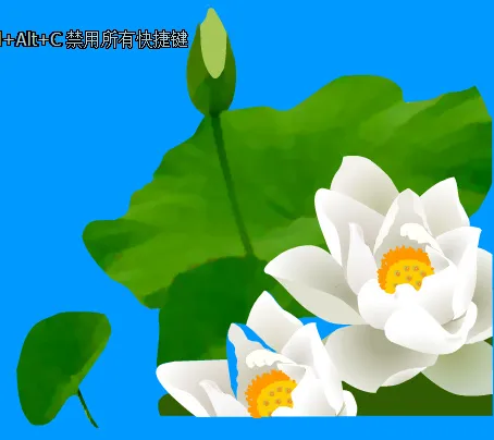 白荷花