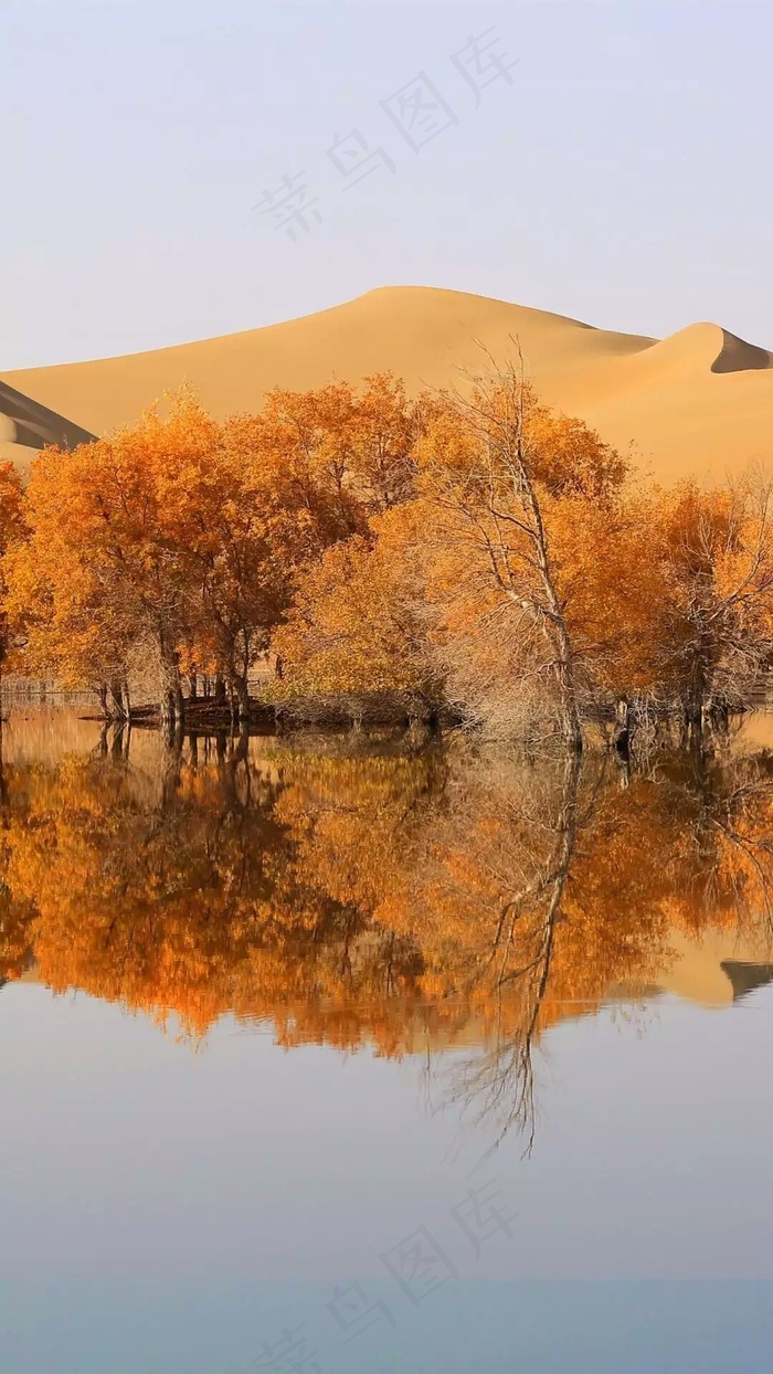 沙漠绿洲高清摄影图片